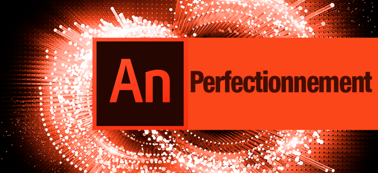 Formation animate perfectionnement