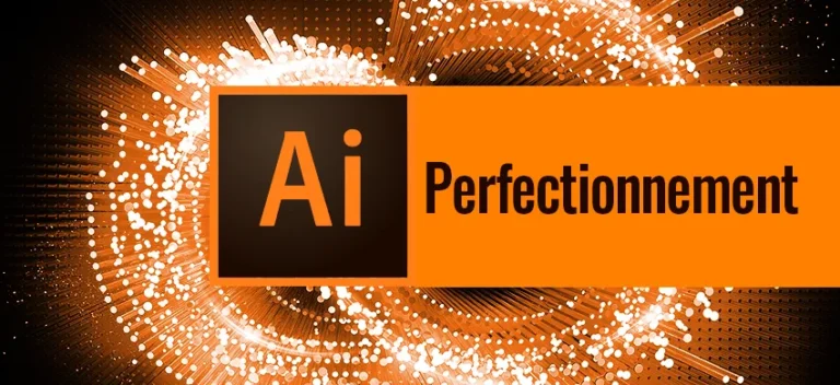Formation Illustrator Perfectionnement